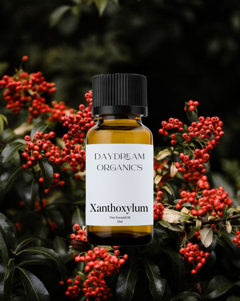 Xanthoxylum Essential Oil Daydream