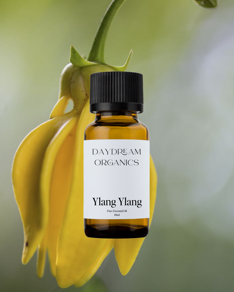 Ylang Ylang Essential Oil Daydream