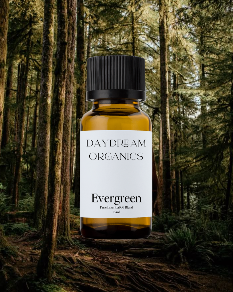 Evergreen Essential Oil Blend Daydream