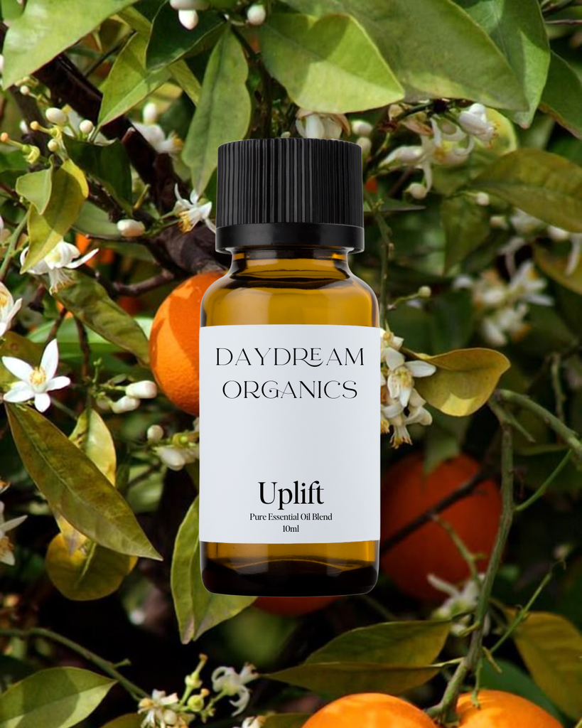 Uplift Essential Oil Blend Daydream