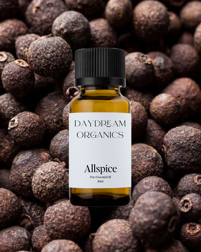 Allspice Essential Oil Daydream