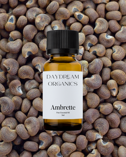 Ambrette Seed Essential Oil Daydream