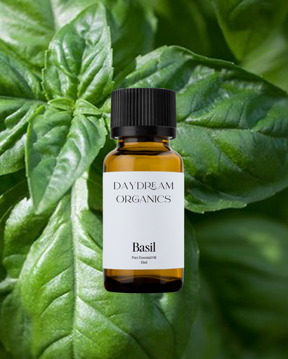 Basil Essential Oil Daydream
