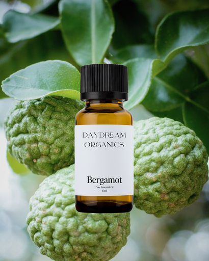 Bergamot Essential Oil Daydream