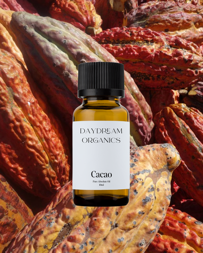 Cacao Absolute Oil Daydream