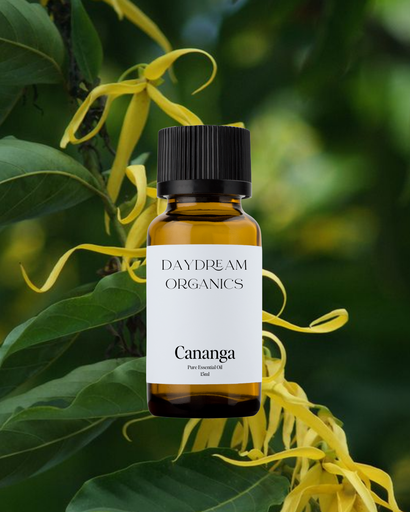 Cananga Essential Oil Daydream