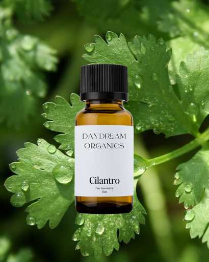 Cilantro Leaf Essential Oil Daydream