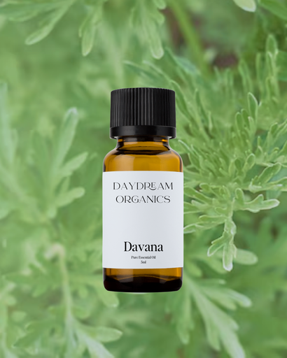Davana Essential Oil Daydream