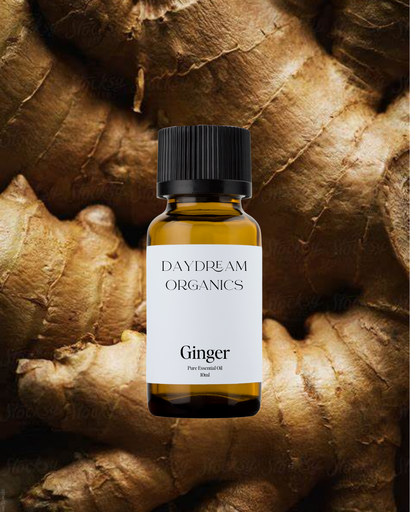 Ginger Essential Oil Daydream