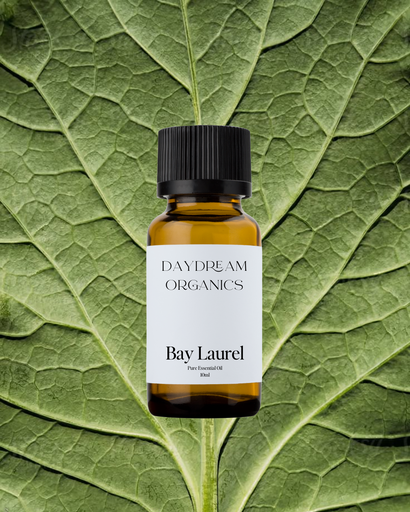 Laurel Leaf (Bay) Essential Oil Daydream