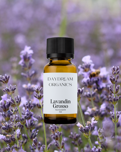 Lavandin Grosso Essential Oil Daydream