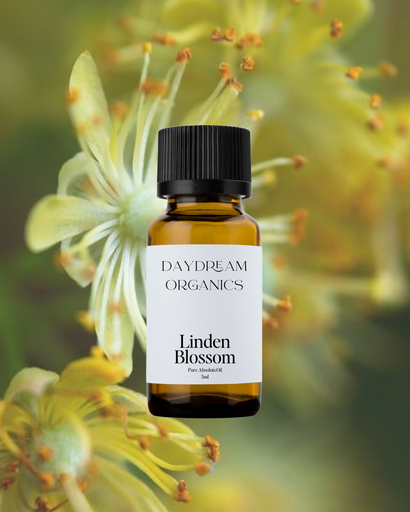 Linden Blossom Absolute Oil Daydream