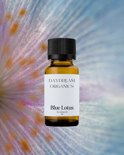 Lotus Blue Absolute Essential Oil Daydream