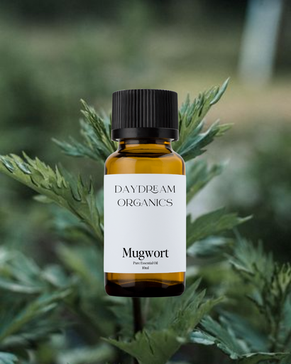 Mugwort Essential Oil Daydream