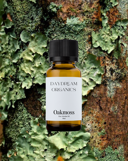 Oakmoss Absolute Oil Daydream