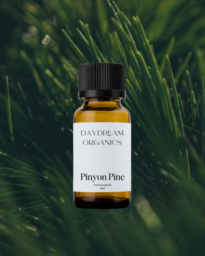 Pinyon Pine Essential Oil Daydream