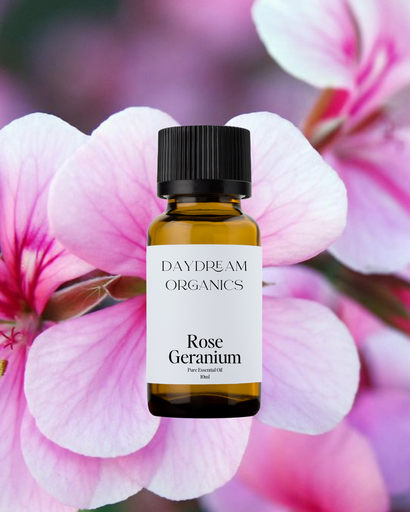 Rose Geranium Essential Oil Daydream