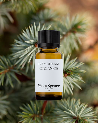 Sitka Spruce Essential Oil Daydream