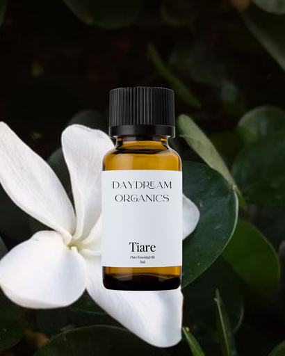 Tiare (Tahitian Gardenia) Absolute Oil Daydream