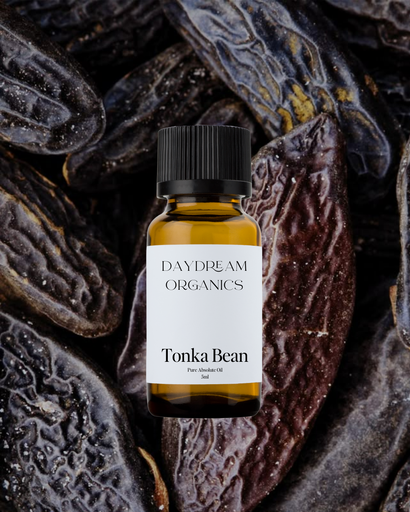 Tonka Bean Absolute Oil Daydream
