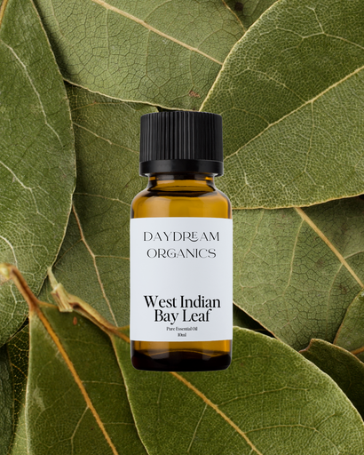 West Indian Bay Leaf (Bay Rum) Essential Oil Daydream