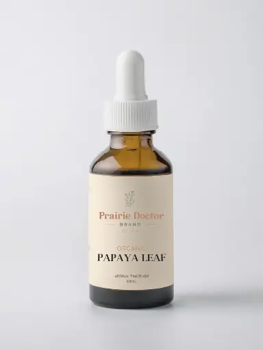 Papaya Leaf Tincture