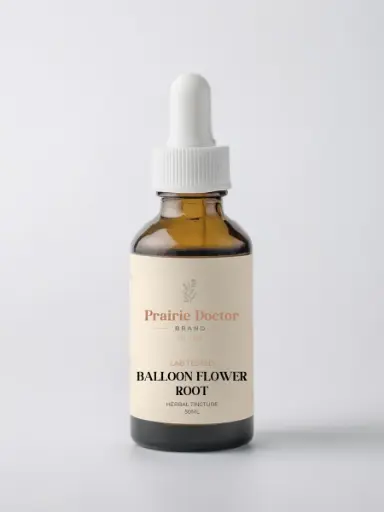 Balloon Flower Root Tincture